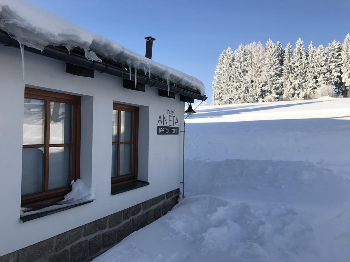 Aneta Hotel & Restaurant Vítkovice Zewnętrze zdjęcie